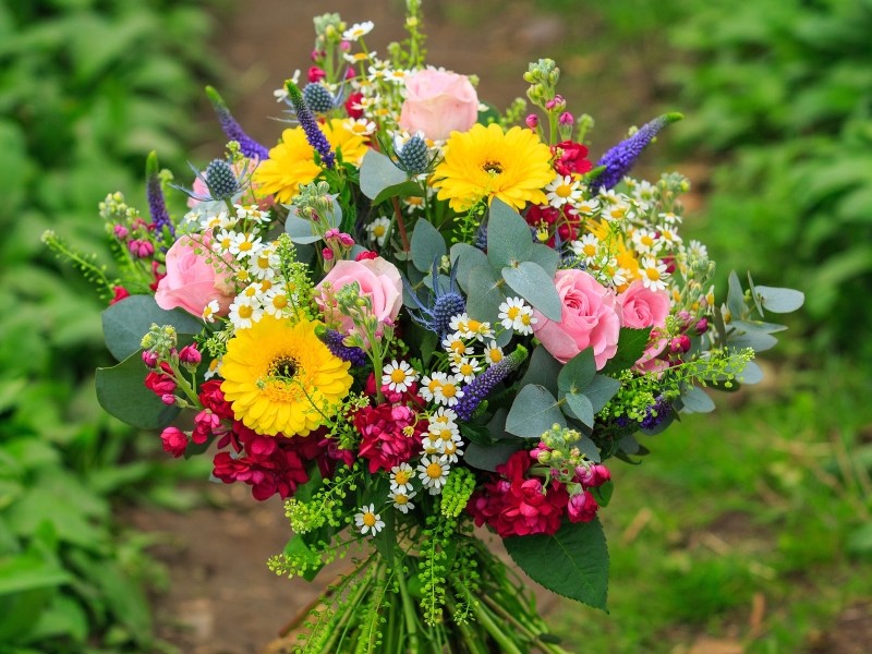 20159300-summer-colour-bouquet-6